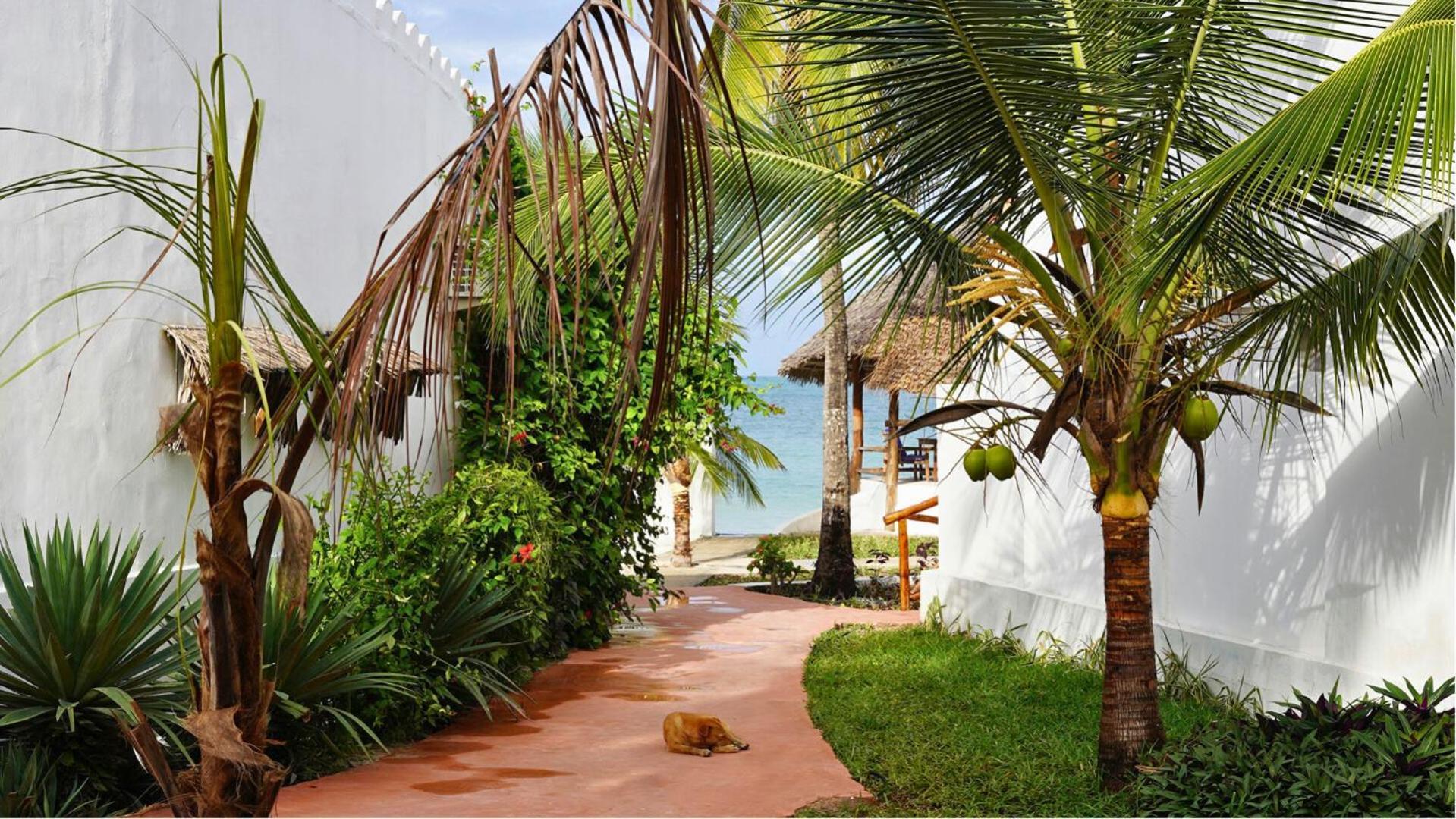 Nautilus Boutique Hotel Uroa Bagian luar foto